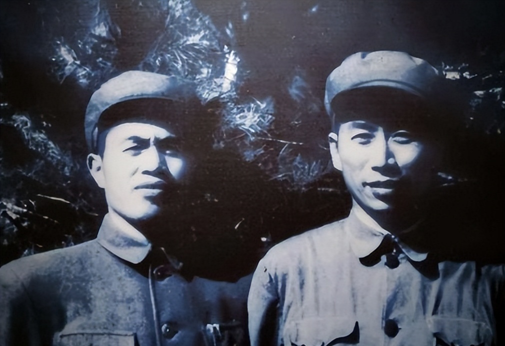 军改新篇章，1军1师调整为师级单位的最新动态与影响分析