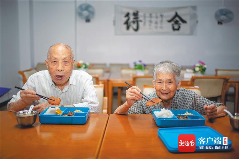 2025精准资料免费提供最新版,精选解释解析,2025精准资料，免费提供的最新版与精选解释解析