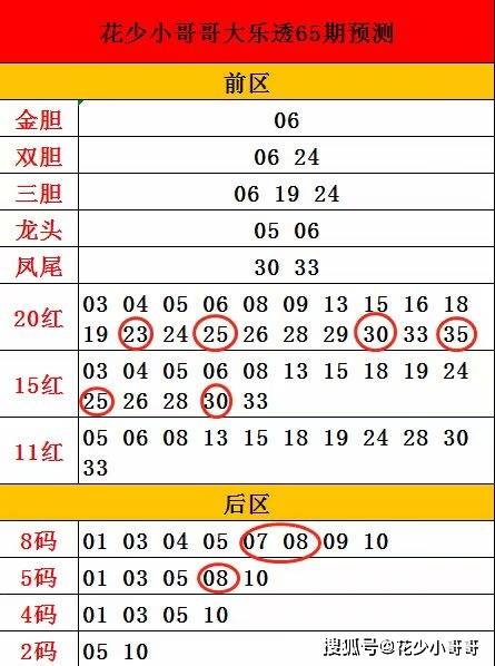今晚澳门9点35分开什么生肖,精选解释解析,今晚澳门9点35分开什么生肖，揭秘与解析