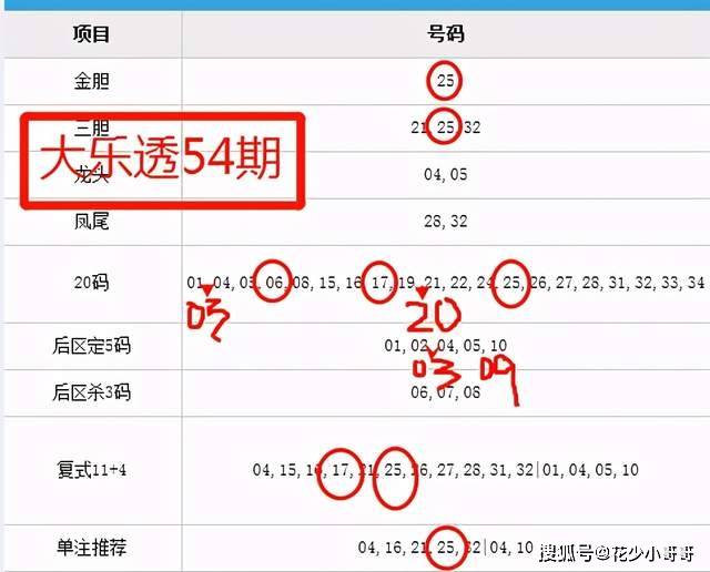 新澳今晚上9点30开奖结果,精选解释解析
