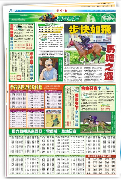 马会传真资料2024澳门,精选解释解析