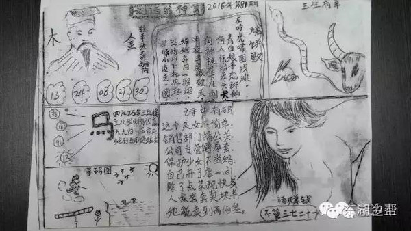 管家婆白小姐四肖四码,专家意见解释定义