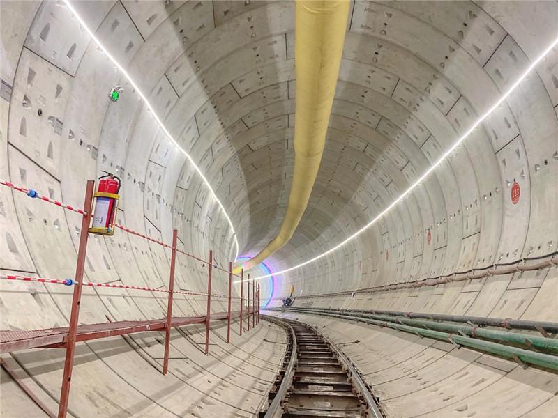 2024澳门精准正版免费,专家意见解释定义