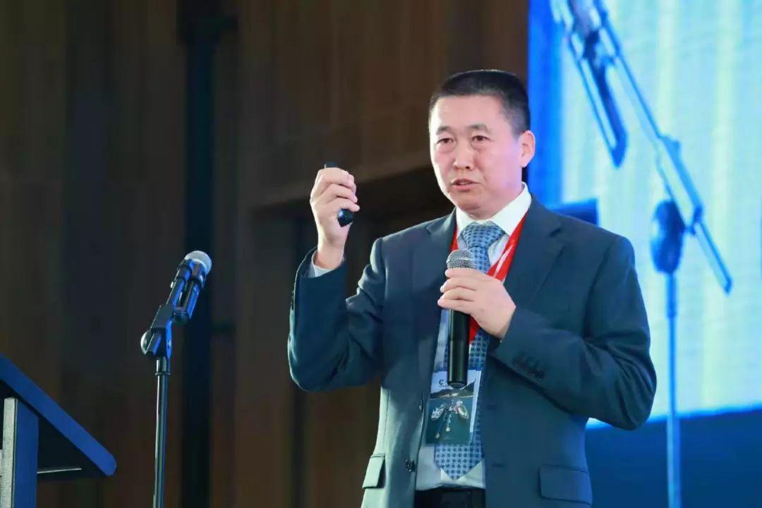 2025新奥最新资料大全,专家意见解释定义