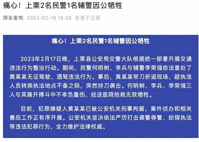 澳门天天免费精准大全,专家意见解释定义