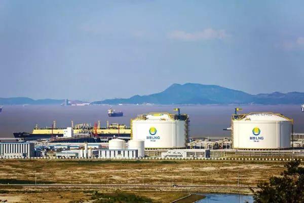 2025年新奥正版资料,专家意见解释定义