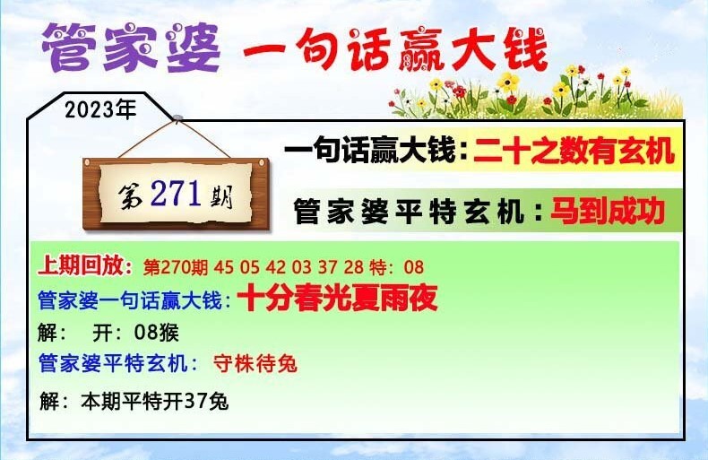 白小姐管家婆四肖八码管家婆,专家意见解释定义