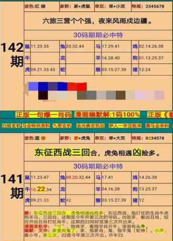 新澳门精准四肖期期准免费,专家意见解释定义