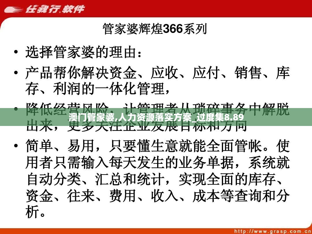 澳门管家婆100%精准,专家意见解释定义