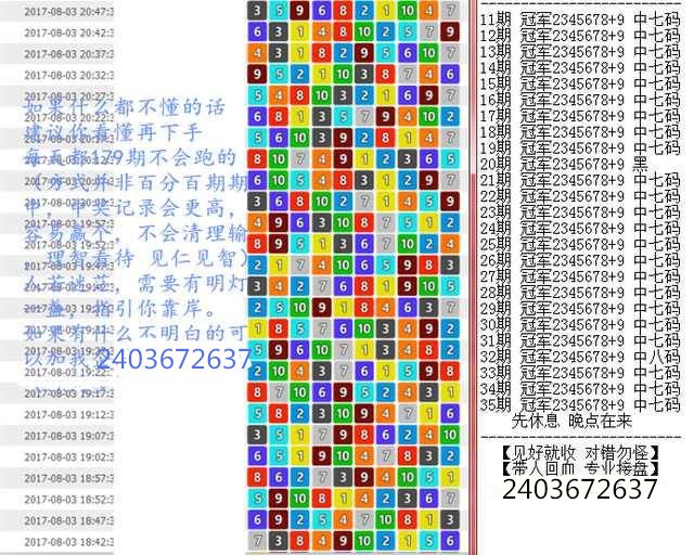 澳门王中王100%期期中,专家意见解释定义
