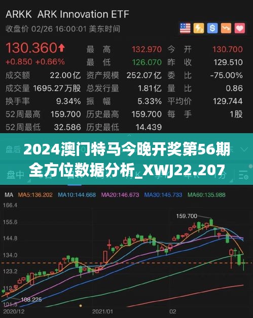 2025年澳门特马今晚,专家意见解释定义