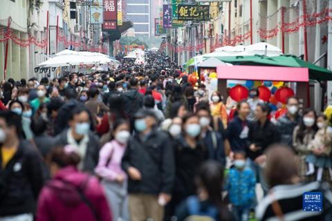 2025新年澳门天天彩免费大全,专家意见解释定义