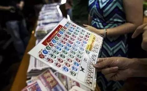 香港开奖 澳门开奖结果,专家意见解释定义
