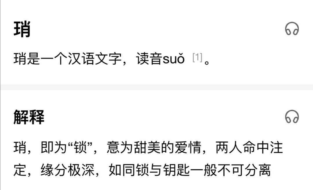 澳门一肖一码一必中一肖雷锋,专家意见解释定义