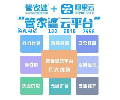 澳门管家婆100%精准香港,专家意见解释定义