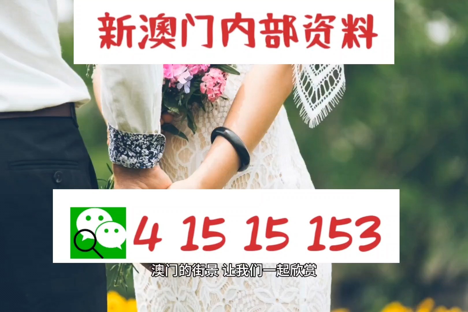 澳门最准的资料免费公开,专家意见解释定义
