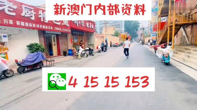 新澳门天天开好彩大全开奖记录,专家意见解释定义