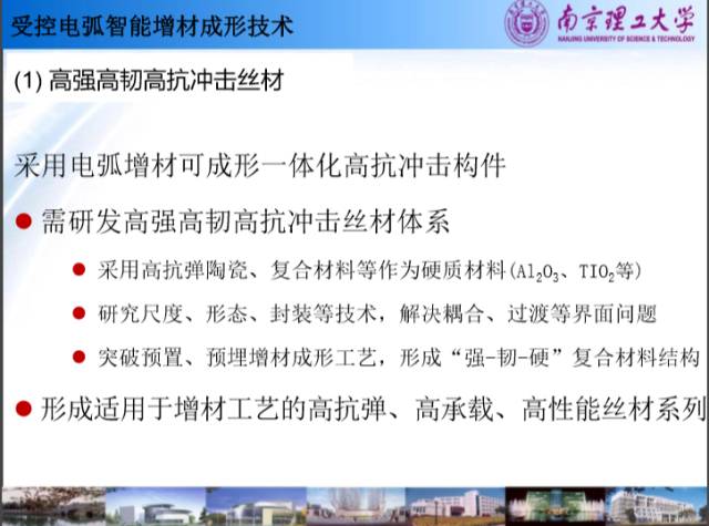 一码一肖一特一中2025,专家意见解释定义