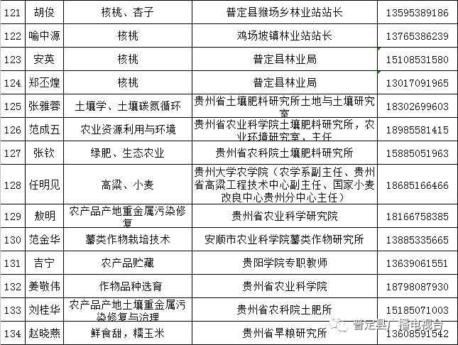 澳门天天彩期期精准龙门客栈,专家意见解释定义