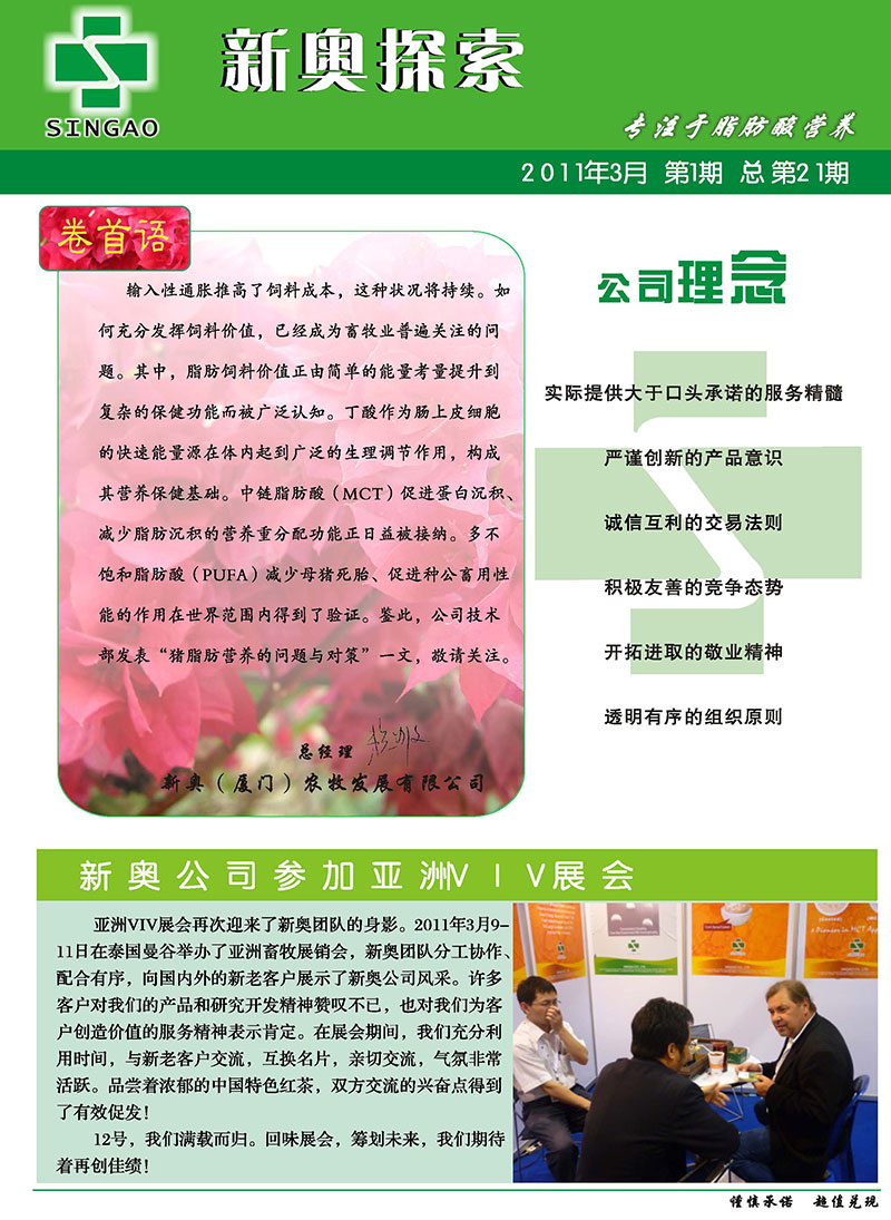2025年新奥正版资料,专家意见解释定义