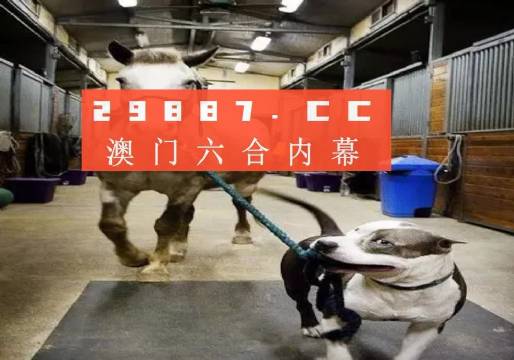 澳门一肖一码一必中一肖同舟前进-全面贯彻解释落实_l533.18.378