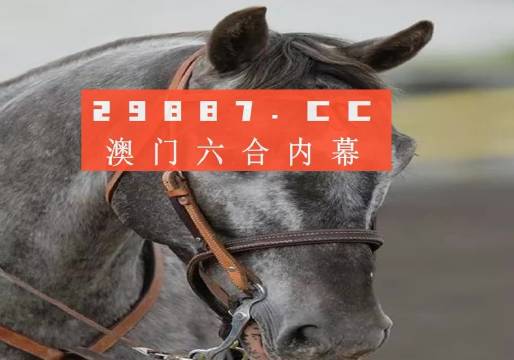 资讯 第439页