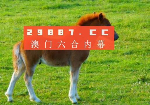 澳门一肖一码一待一中-词语释义解释落实_l533.18.378