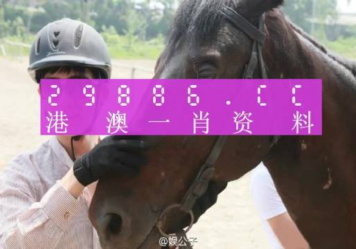 澳门一肖一码一一特一中-实用释义解释落实_l533.18.378