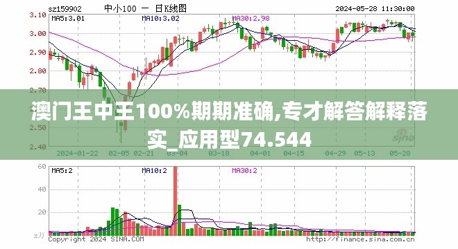2025澳门王中王100%期期中,精选解释解析_l533.18.378