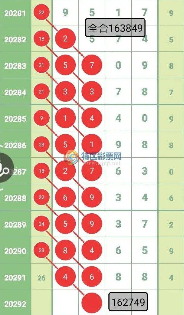 一肖一码一中一特-精选解析解释落实_l533.18.378