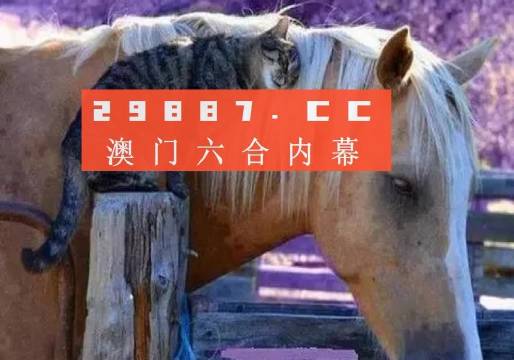 澳门一一码一特一中准选今晚-精选解析解释落实_l533.18.378