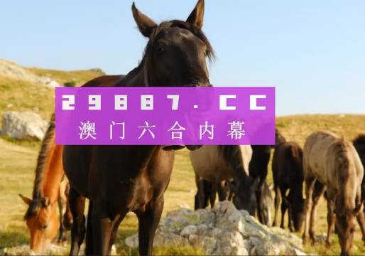 新澳门免费精准龙门客栈管家婆-词语释义解释落实 _l533.18.378