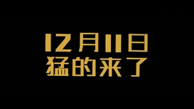 香港今晚必开一肖一特-词语释义解释落实 _l533.18.378