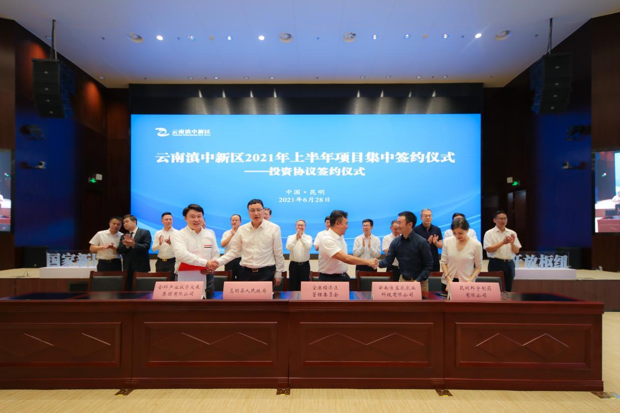2025全年资料免费大全-实用释义解释落实_l533.18.378