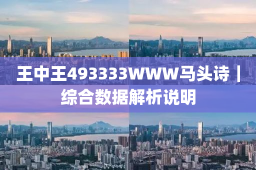 王中王493333WWW马头诗-精选解析解释落实_l533.18.378