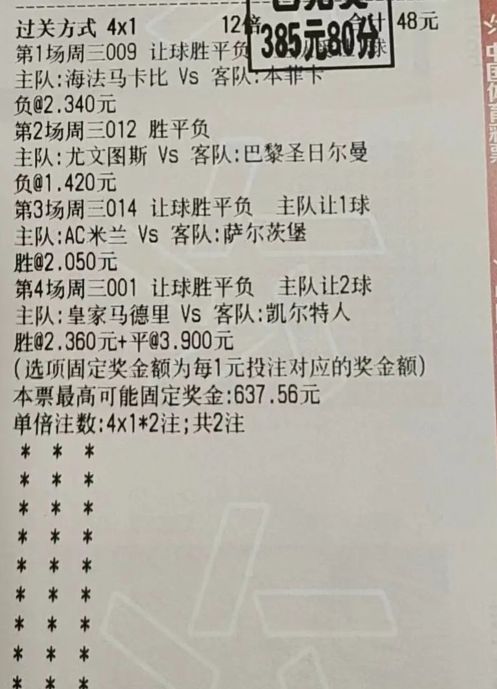 马报最新一期资料图2025版|精选解释解析落实
