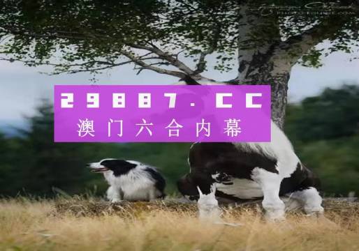 2025澳门精准跑狗图|精选解释解析落实