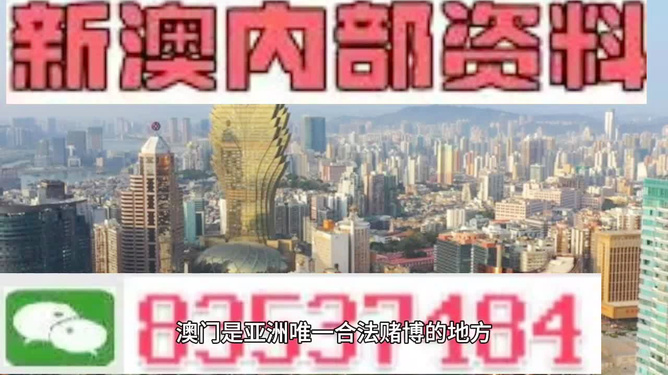 新澳门免费资料精准大全|精选解释解析落实