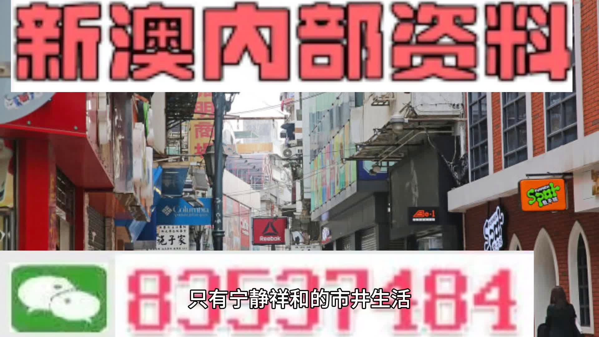 新澳门精准四肖期期中特公开|精选解释解析落实