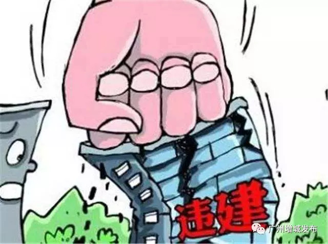 邻居不停举报违章建筑怎么办|精选解释解析落实
