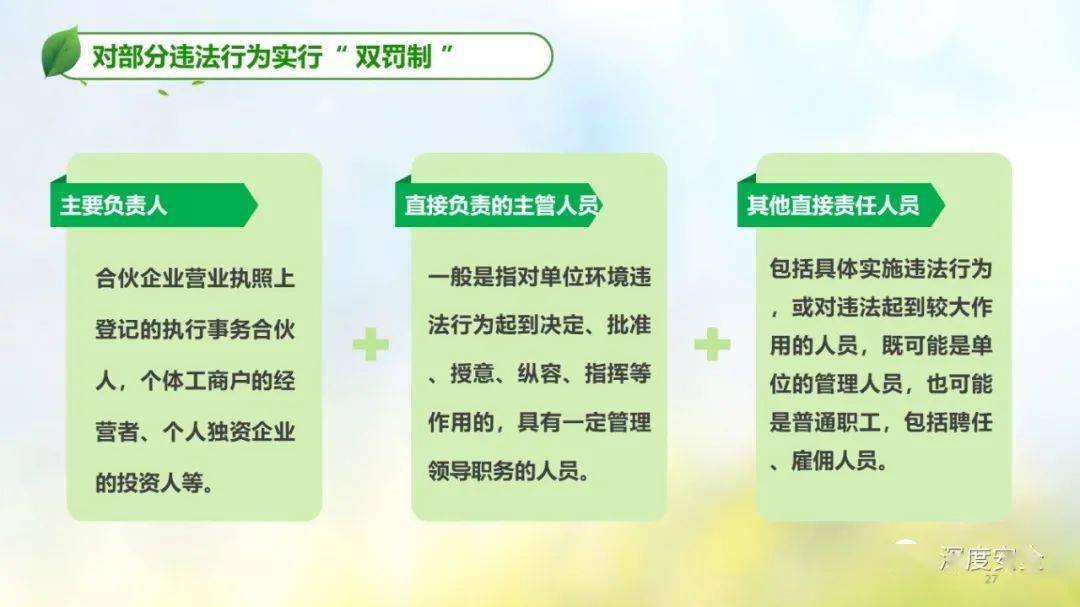 2025新澳彩免费资料|精选解释解析落实