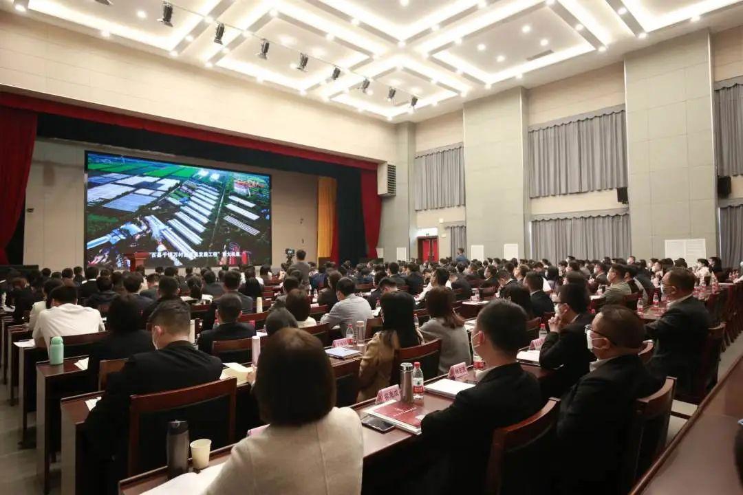 2025澳门精准正版|精选解释解析落实