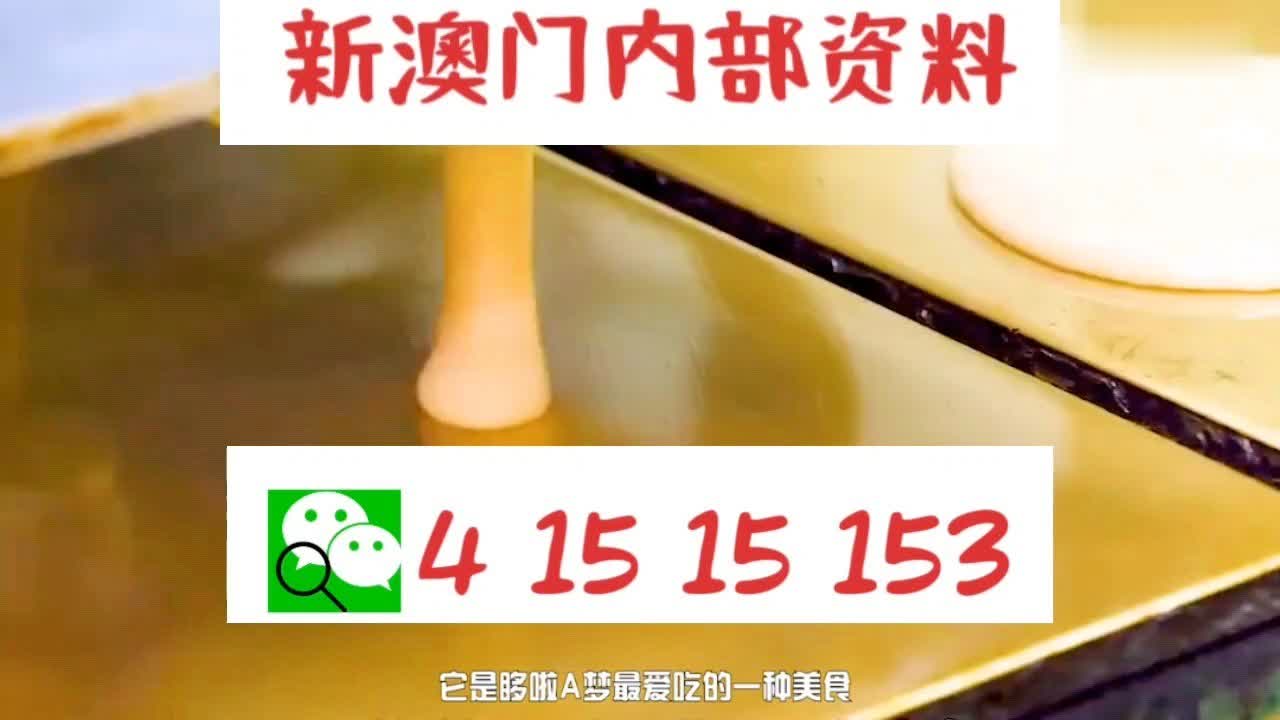 2025澳门天天开好彩大全最新版本,探索澳门彩票文化，2025澳门天天开好彩大全（最新版本）