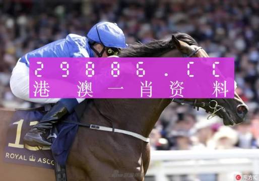 资讯 第269页