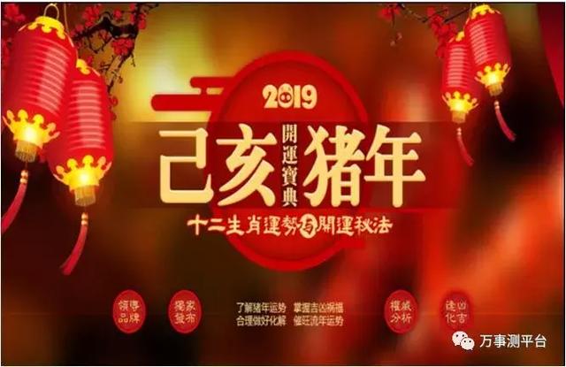 新澳门今晚精准一肖,新澳门今晚精准一肖预测——探索生肖运势的奥秘