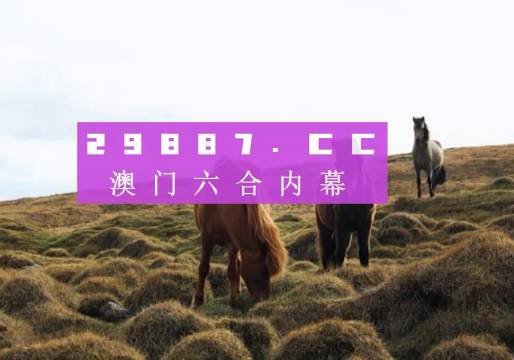 新澳门开奖结果+开奖结果,澳门开奖结果，探索与解析