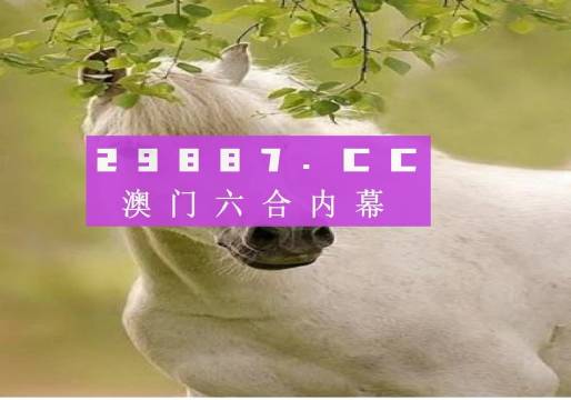 新澳门黄大仙8码大公开,新澳门黄大仙8码大公开，揭秘传说中的神秘数字