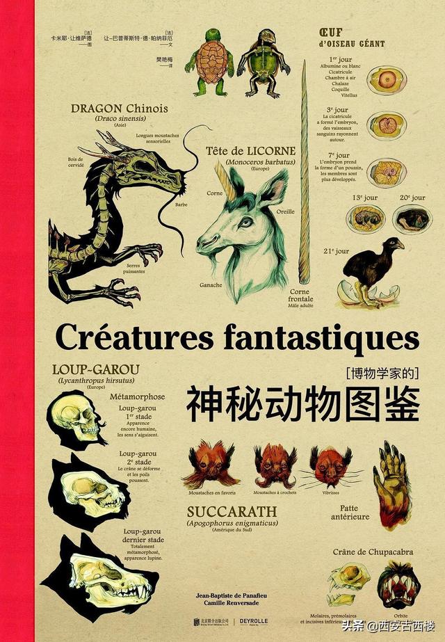 百科 第234页