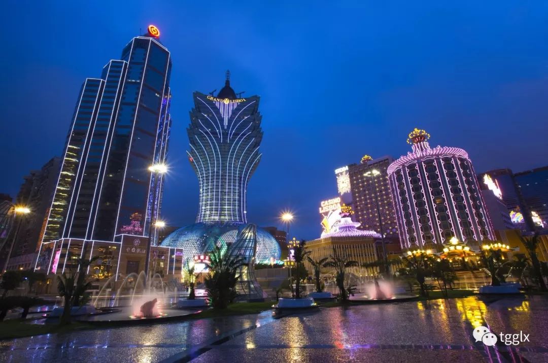 2025澳门天天开好彩大全香港,澳门与香港，展望未来的繁荣与活力——2025天天开好彩大全