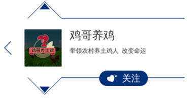新澳内部期期精准,新澳内部期期精准，揭秘成功背后的策略与管理智慧